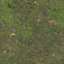 Ground
