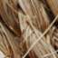 Wicker