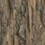 Bark