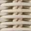 Wicker