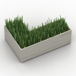 3D Box preview