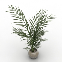 palm 3D Model Preview #fe121466