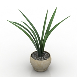 3D Plant preview