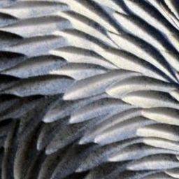 Download 3d cad models, 3d max textures, 3d help