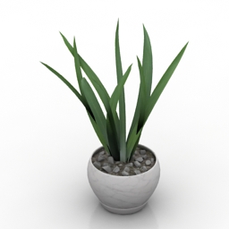 plant 2 3D Model Preview #9964cf78