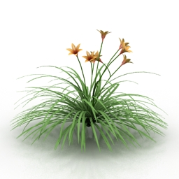 3D Flower preview
