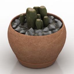3D Plant preview