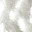 Fur