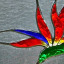 Stained glass