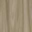 Curtain