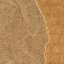 Cardboard