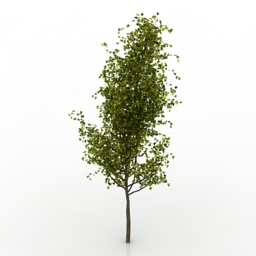 tree 3D Model Preview #349052ee