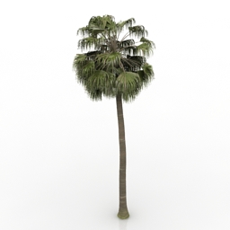 palm 3D Model Preview #440588d7