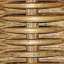 Wicker