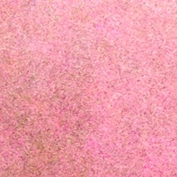 Petal