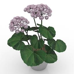 flower 3D Model Preview #2d303fce