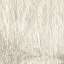 Stucco