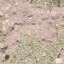 Stucco