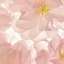 Textile