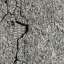 Asphalt