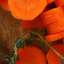 Carrot