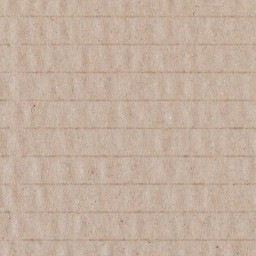 Cardboard