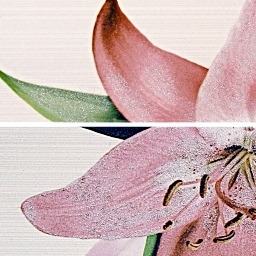 Download 3d cad models, 3d max textures, 3d help