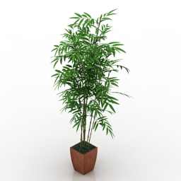 3D Plant preview