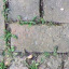 Paving