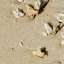 Sand