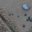 Sand