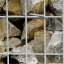 Stone