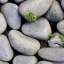 Gravel