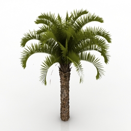 palm 3D Model Preview #9113045b