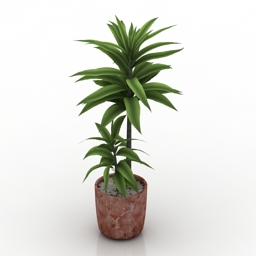 plant palm 3D Model Preview #cd91e040