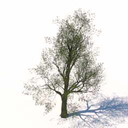 tree 3D Model Preview #493bb25e