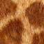Fur