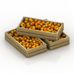 apricots 3D Model Preview #b127ea00