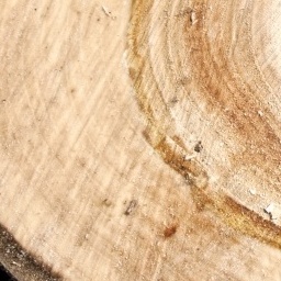 Log