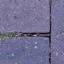 Paving