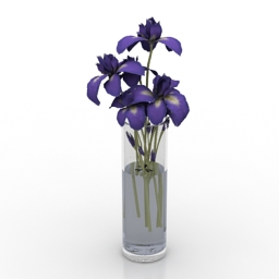 vase iris 3D Model Preview #24c9e318