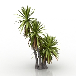 palm yucca aloifolia 3D Model Preview #90023fe3
