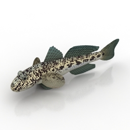 3D Fish preview