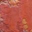 Stucco