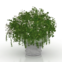 3D Vase preview