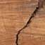 Log