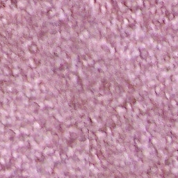 Carpet