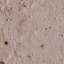 Stucco