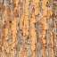 Bark