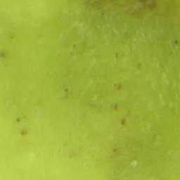 Fruitpeel